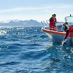 Northern Light Hotell/camp Steinfjord Отель