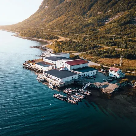 Northern Light Hotell/camp Steinfjord