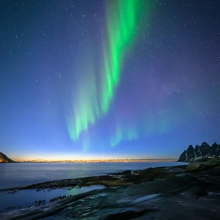 Northern Light Hotell/camp Steinfjord