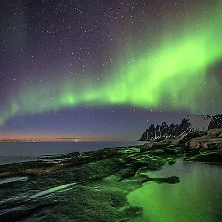 Hotel Northern Light Hotell/camp Steinfjord *
