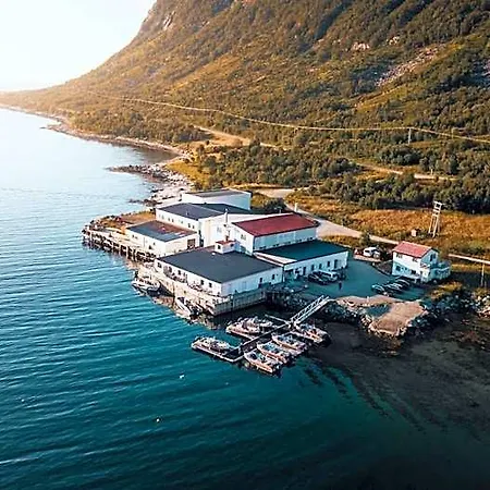 Northern Light Hotell/camp Steinfjord *