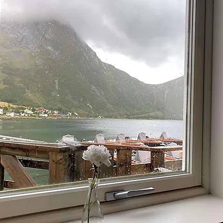 Northern Light Hotell/camp Steinfjord *