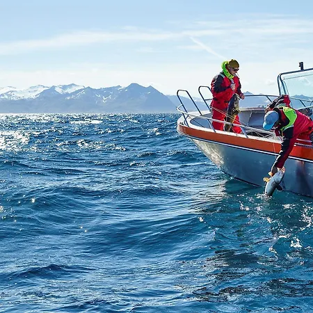 Northern Light Hotell/camp Steinfjord Hotel