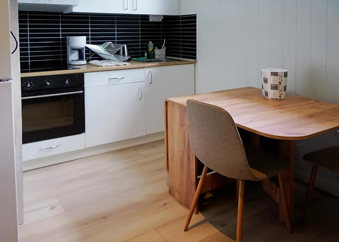 Northern Light Hotell/camp Steinfjord