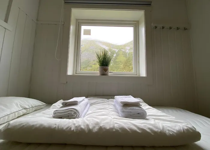 Northern Light Hotell/camp Steinfjord *