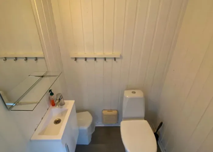 Northern Light Hotell/camp Steinfjord *