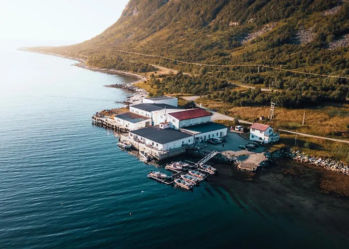 Northern Light Hotell/camp Steinfjord