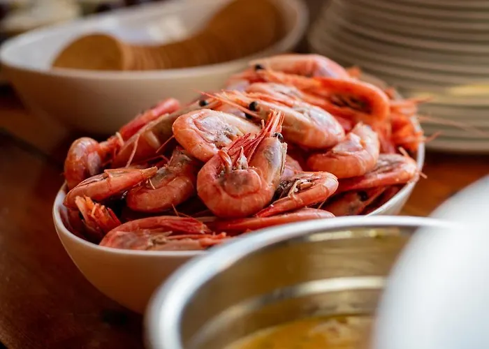 Northern Light Hotell/camp Steinfjord Hotell *