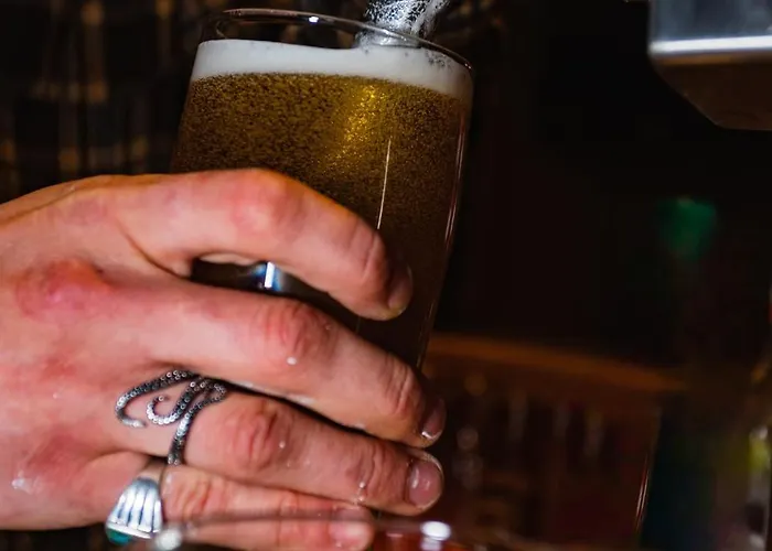 Northern Light Hotell/camp Steinfjord Hotell Berg (Troms)