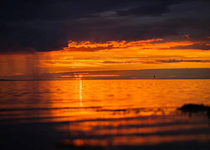 Northern Light Hotell/camp Steinfjord