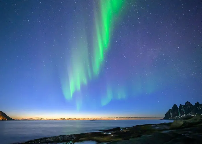 Northern Light Hotell/camp Steinfjord