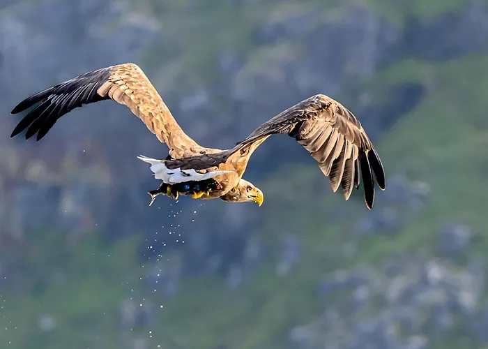 Hotell Northern Light Hotell/camp Steinfjord