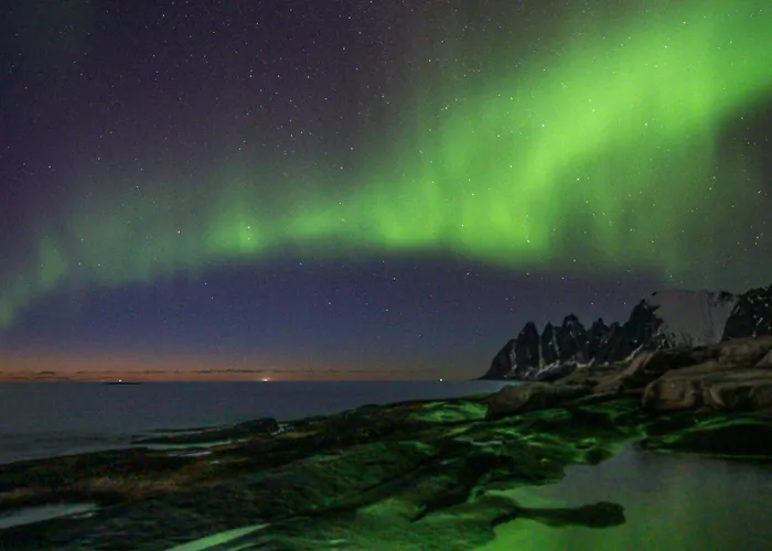 Northern Light Hotell/camp Steinfjord Hotell *