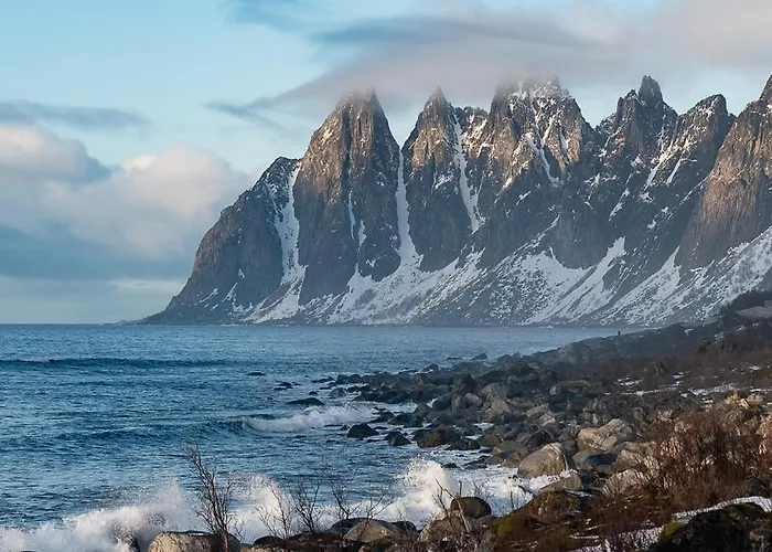 Northern Light Hotell/camp Steinfjord