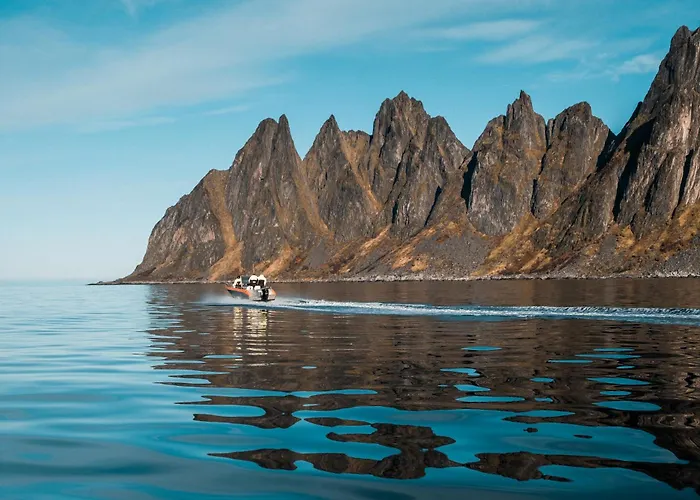 Northern Light Hotell/camp Steinfjord