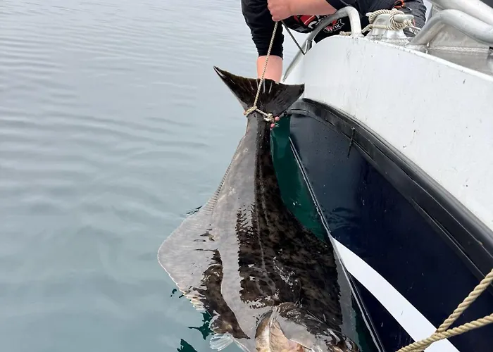 Hotell Northern Light Hotell/camp Steinfjord