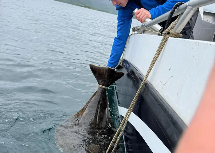 Northern Light Hotell/camp Steinfjord Hotell *