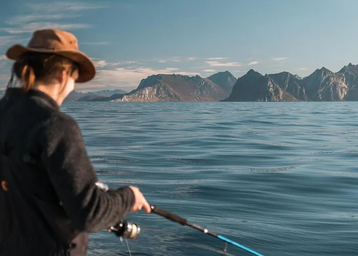 Northern Light Hotell/camp Steinfjord * Berg (Troms)